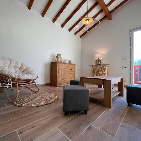 Maison Moderne Avec Piscine Chauffee, Proche De Saint-jean-de-luz - Fr-1-239-876 Σπίτι διακοπών
