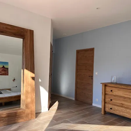 Maison Moderne Avec Piscine Chauffee, Proche De Saint-jean-de-luz - Fr-1-239-876 *